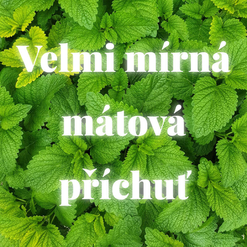 Zubní nit Minty-Charcoal